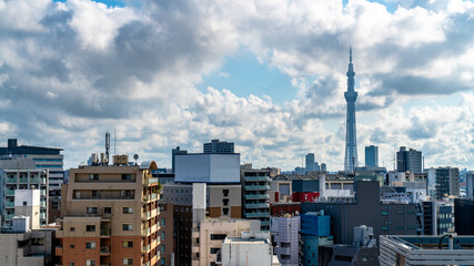 Color Images of Tokyo, Japan. Skyline with Tokyo tree tower in the morning. 