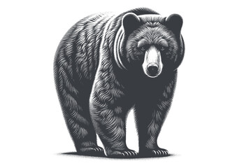 bear vector, bear silhouette