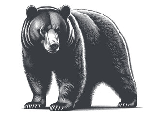 bear vector, bear silhouette