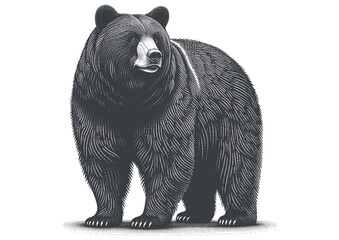 bear vector, bear silhouette