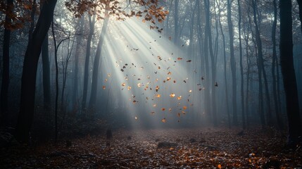 Fototapeta premium Misty Forest with Sun Rays and Falling Autumn Leaves