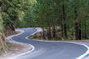 A narrow mountain road winds through a dense pine forest, offers a peaceful journey through...