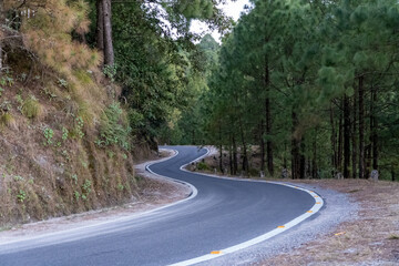 Fototapeta premium A narrow mountain road winds through a dense pine forest, offers a peaceful journey through nature.Scenic landscape and towering trees create a picturesque backdrop.Mountain road in uttarakhand, India