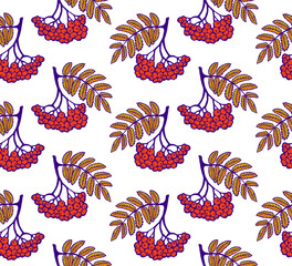 Rowan vector pattern, seamless autumn pattern with rowan berries and leaves designed for wrapping paper or fabric