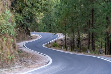 A narrow mountain road winds through a dense pine forest, offers a peaceful journey through nature.Scenic landscape and towering trees create a picturesque backdrop.Mountain road in uttarakhand, India