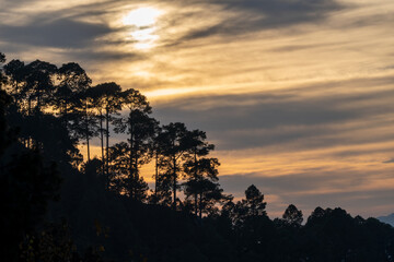 Textured sky in vibrant orange, yellow, black hues like brushstrokes on a canvas. Dramatic sky and majestic nature. A silhouetted pine forest and hillside against the breathtaking mountain sunset.
