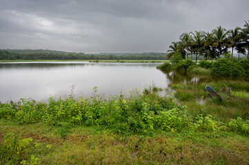 Serene riverside landscape featuring dense palm trees, lush vegetation, and a submerged boat under...