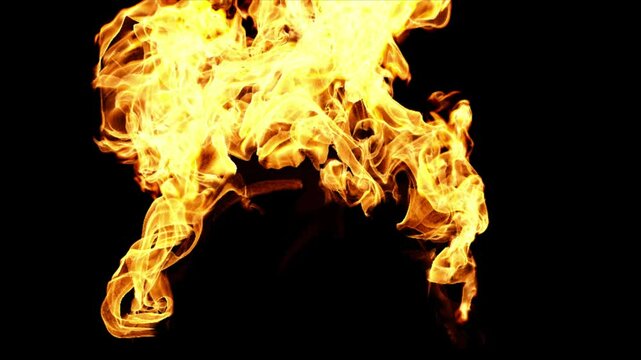 Burning portal door on transparent background
3d rendering of fire simulation with alpha channel (transparent background)
