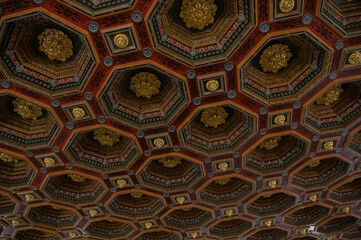 Antique three-dimensional ceiling in the castle