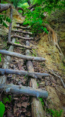 wild staircase in the forest