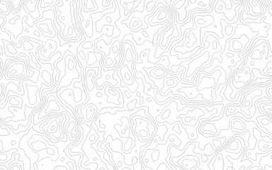 Abstract Topographic map background with wave line. Vector illustration.