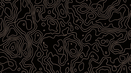 Abstract Topographic map background with wave line. Vector illustration.