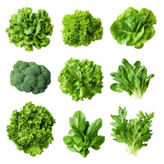 Top View Collection of Fresh Leafy Greens: Vibrant, Healthy, and Nutritious Vegetables for a Wholesome Diet