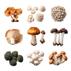 A top view collection of fresh fruits and vegetables arranged beautifully on a rustic wooden table.