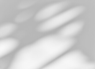 Shadow of leaves tree plant overlay on white wall. Sunlight effect shadow on the wall. Minimal blurred backdrop backgrounds. Summer tropical surface background.	

