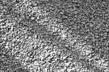 Cat litter texture background. Cat toilet. Sunlight shining through cat litter. 