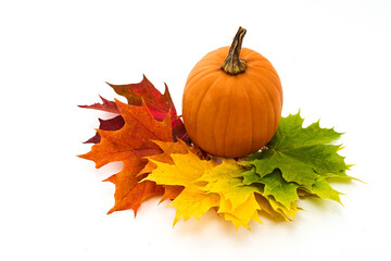 Autumn Pumpkin Display. Pumpkin and Leaves on white background