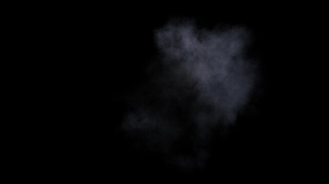 Cannon side explosion with smoke and trails
3d rendering of fire and smoke simulation with alpha channel (transparent background)
