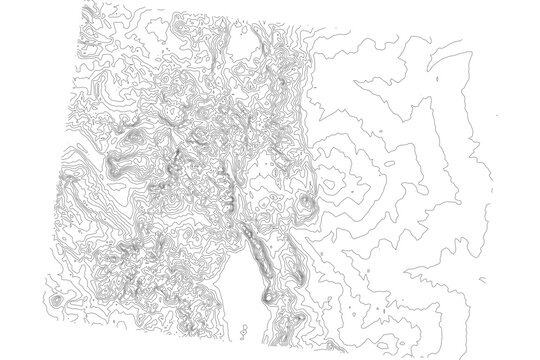 Colorado 1-bit contour map topography. Detailed elevation terrain lines in minimalist black and white vector graphic style. Scalable SVG file for cartography, GIS visualization, graphic design