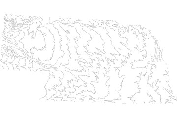 Nebraska 1-bit contour map topography. Detailed elevation terrain lines in minimalist black and white vector graphic style. Scalable SVG file for cartography, GIS visualization, graphic design