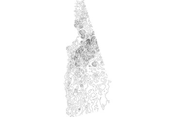 New Hampshire 1-bit contour map topography. Detailed elevation lines minimalist black white vector graphic style. Scalable SVG for cartography, GIS visualization, graphic design, education, art prints