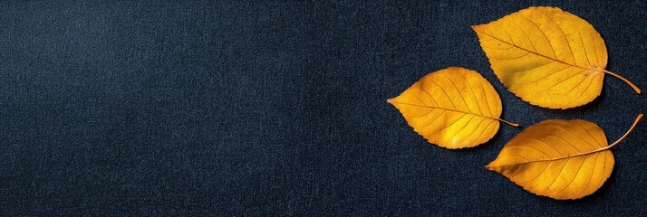 Autumn, fall-themed textured background