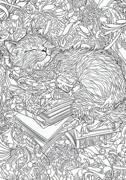 Sketch for anti-stress adult coloring book in zen-tangle style. Modern illustration for coloring page featuring kitty asleep on a stack of books. Hand drawn picture.