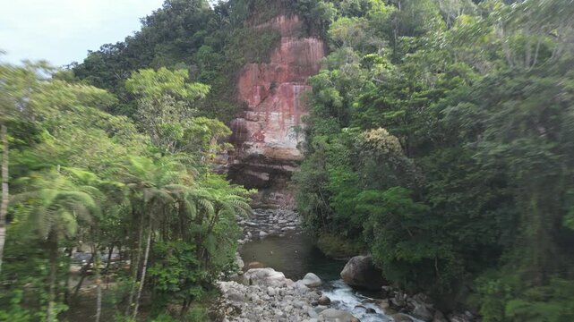 view of rainforest jungle landscape