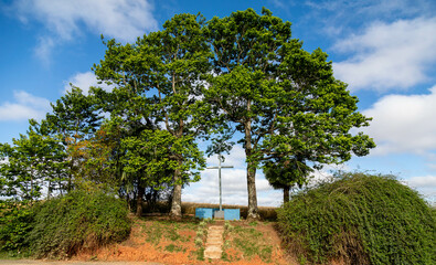 Beautiful rural landscape with pleasant and relaxing daylight