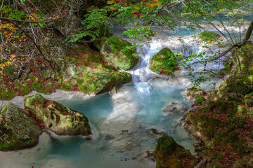 Fototapeta premium waterfall in the forest