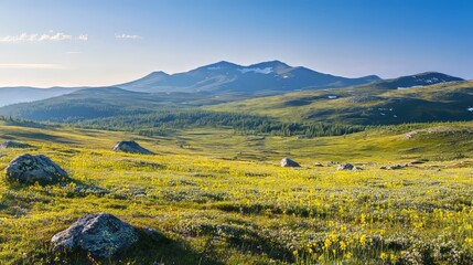 Mount Konzhakovskiy Kamen alpine tundra in summer, North Urals