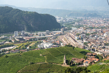Obraz premium Blick auf Bozen über Weinberge