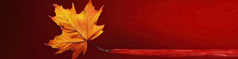 A vivid red background highlights the striking fall of a single, golden leaf.