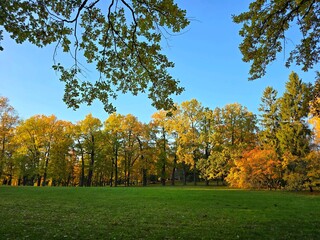 autumn in the park