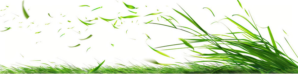 Naklejka premium Grassy Green Lawn: A single blades of grass bends in the breeze, eventually snapping and falling to the ground.