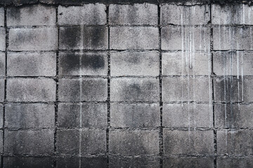 A wall made of gray bricks with a few spots of paint. The wall is old and worn, giving it a sense of history and character