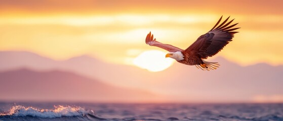 Naklejka premium A large bird flies overhead, silhouetted against the setting sun over a body of water Mountains distant exhibit faint outlines as the sun disappears behind them