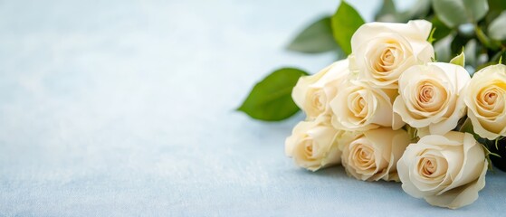 Obraz premium A white rose bouquet atop a light-blue surface, adorned with green leaves upon the stems