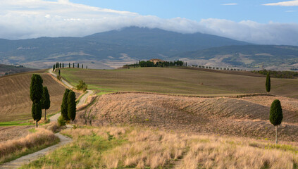 Countryside landscape in Pienza. Val d'Orcia. Tuscany. Italy