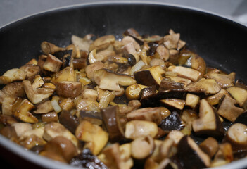 Fresh mushroom pan with chanterelles and porcini mushrooms, autumn dish