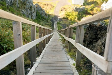 Long Wooden Staircase - Architectural Feature in Natural Setting