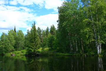 Obraz premium lake in the forest