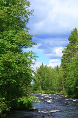 Fototapeta premium mountain river in the forest