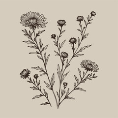 Aster, dahlia, chrysanthemum sketch flowers
illustration outline of a flower
black and white line art, lineart
set of contour flower, line art of flowers, leaves