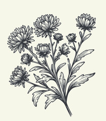 Aster, dahlia, chrysanthemum sketch flowers
illustration outline of a flower
black and white line art, lineart
set of contour flower, line art of flowers, leaves