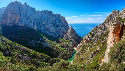 Obraz premium view of the mountains