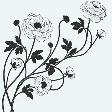 recommend clip art: set of contour peony, poppy, anemone, ranunculus flower, line art of flowers, leaves
                    black and white illustration
                    set of decorative elements of plants