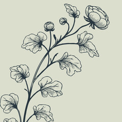 set of contour peony, poppy, anemone, ranunculus flower
line art of flowers, leaves
black and white illustration
set of decorative elements of plants