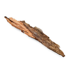 One piece of tree bark isolated on white
