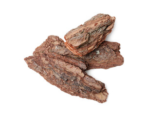 Pieces of tree bark on white background, above view
